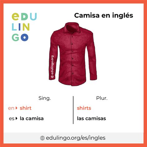 camisa traduccion en ingles|tipos de camisas en ingles.